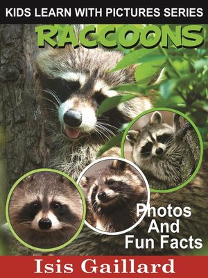 cover image of Raccoons Photos and Fun Facts for Kids